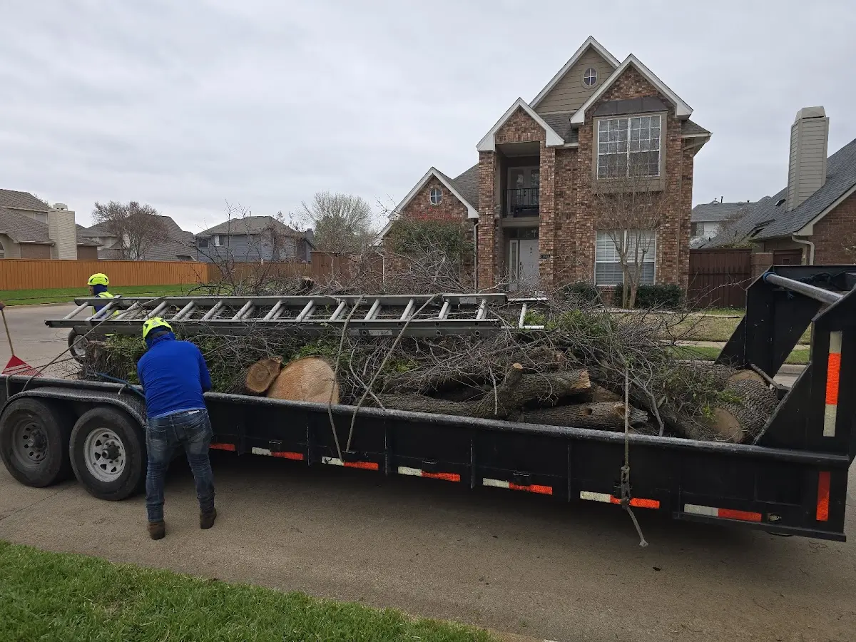 Expert Lot Clearing with proper safety equipment in Grubbs